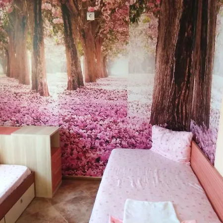 Apartment Tsar Asen 2 Bedrooms *
